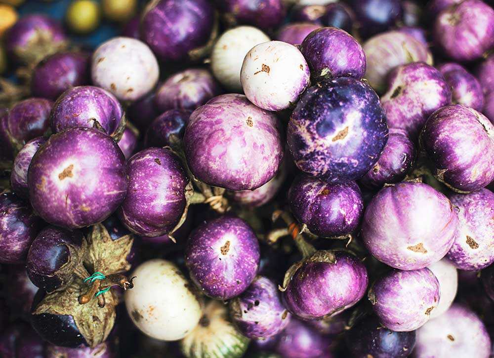 Eggplants