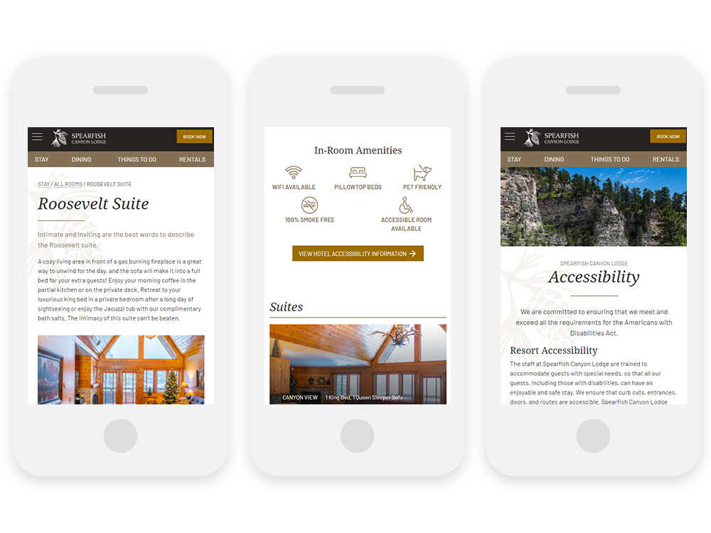 ADA compliant navigability and contrast, and Accessibility page shown on 3 iPhones